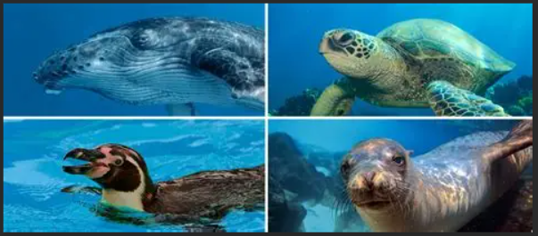 animales en peligro